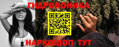 кокс Нарткала