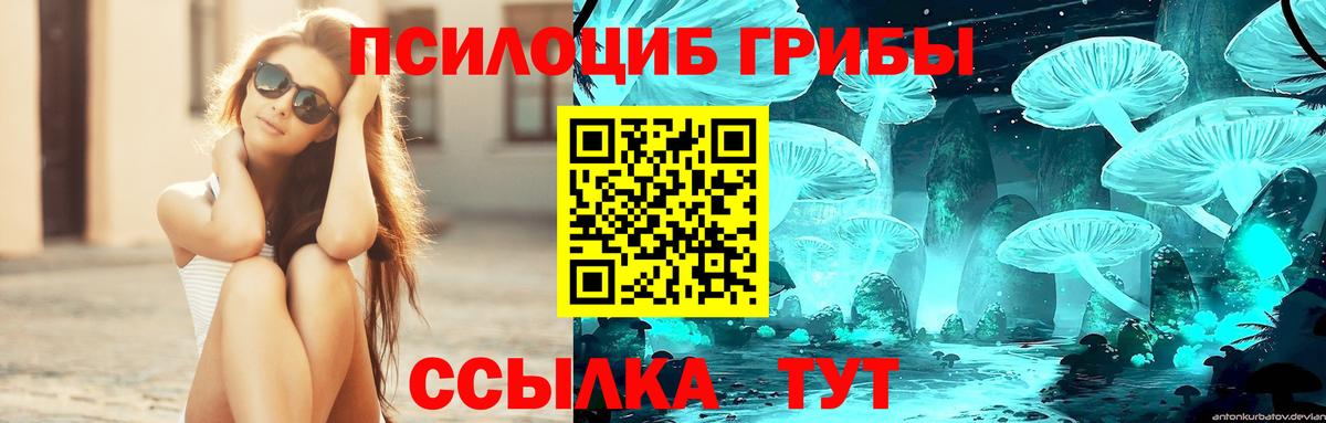 Галлюциногенные грибы MAGIC MUSHROOMS Великий Устюг
