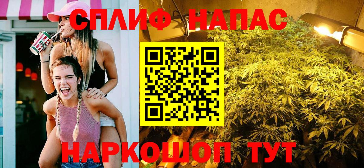 Канабис ГИДРОПОН Великий Устюг